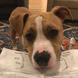 Meet your Posher, Kelly